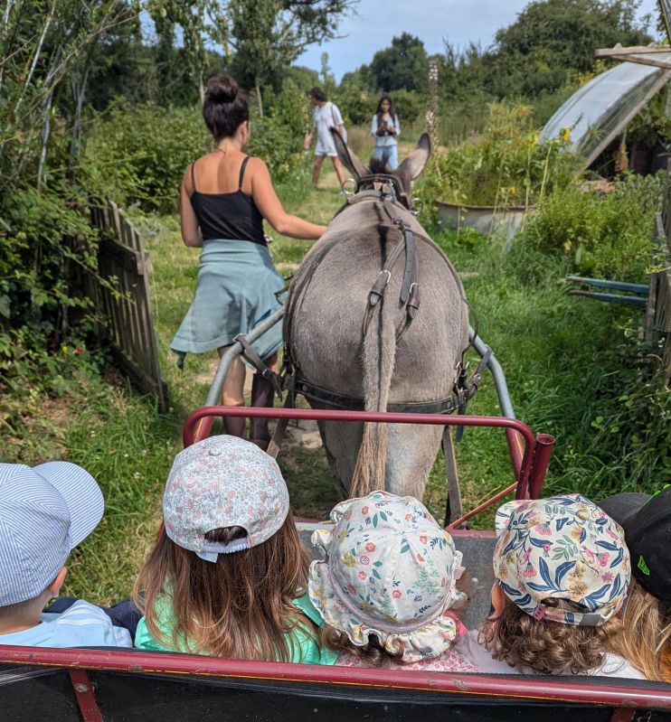 Atelier famille - Bal