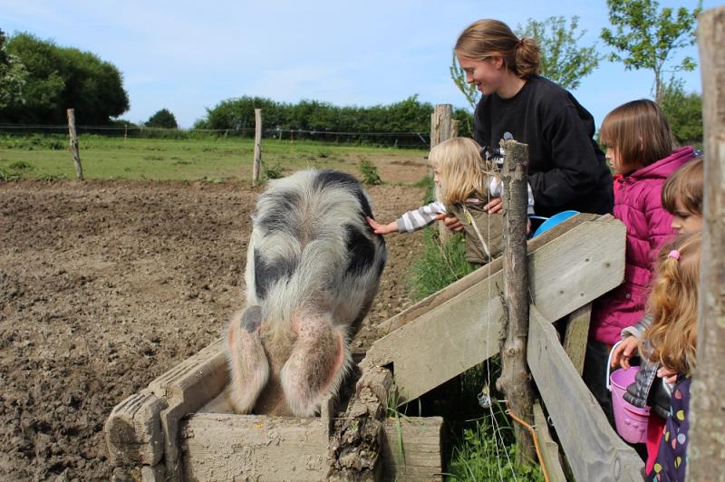 Expérience enfant - Fermier d'un jour