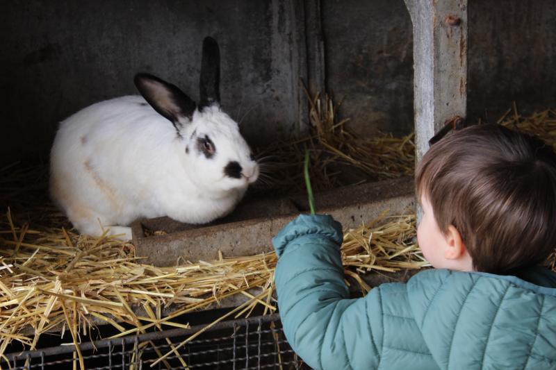 Atelier enfant - Mon petit lapin