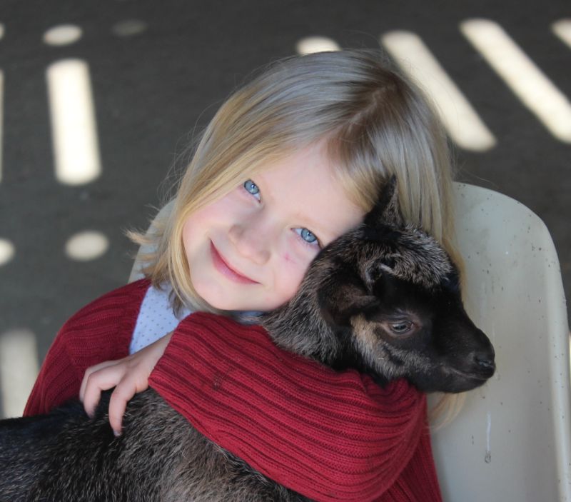 Expérience enfant - Fermier d