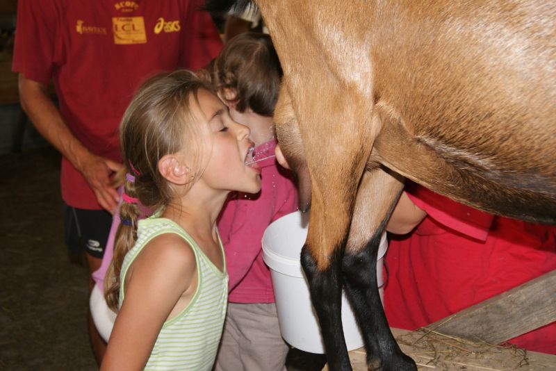 Jeu de piste : De la ferme à l