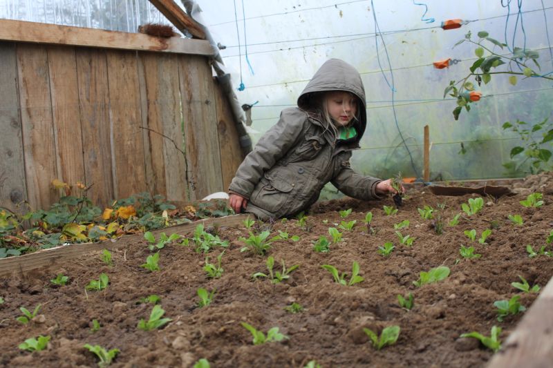 Découverte du jardin maraicher