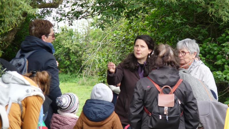 Atelier famille - Bal'âne : découverte des plantes sauvage en carriole