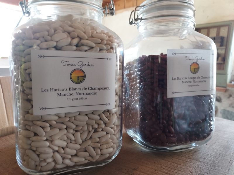 Légumes secs de Tom