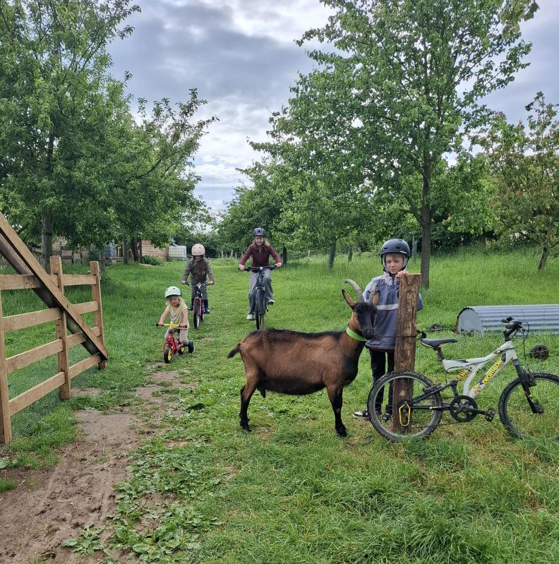Mai à Vélo - Les animaux à vélo