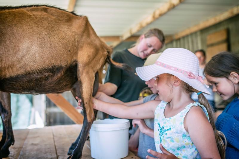 Atelier enfant - Aujourd'hui c'est toi le fermier