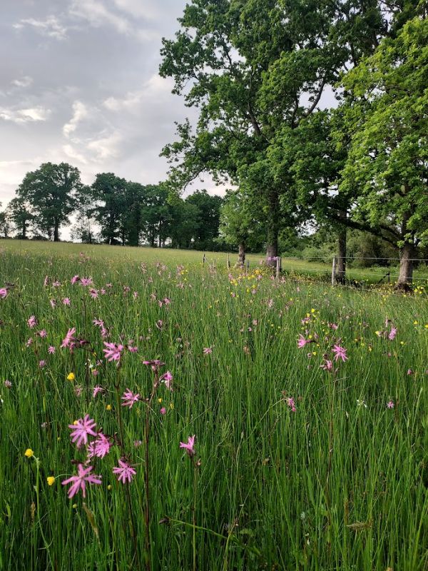 Des champs pour se nourrir et pour accueillir le vivant
