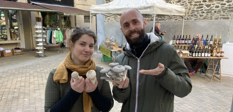 Champignons ... de Granville - Bio