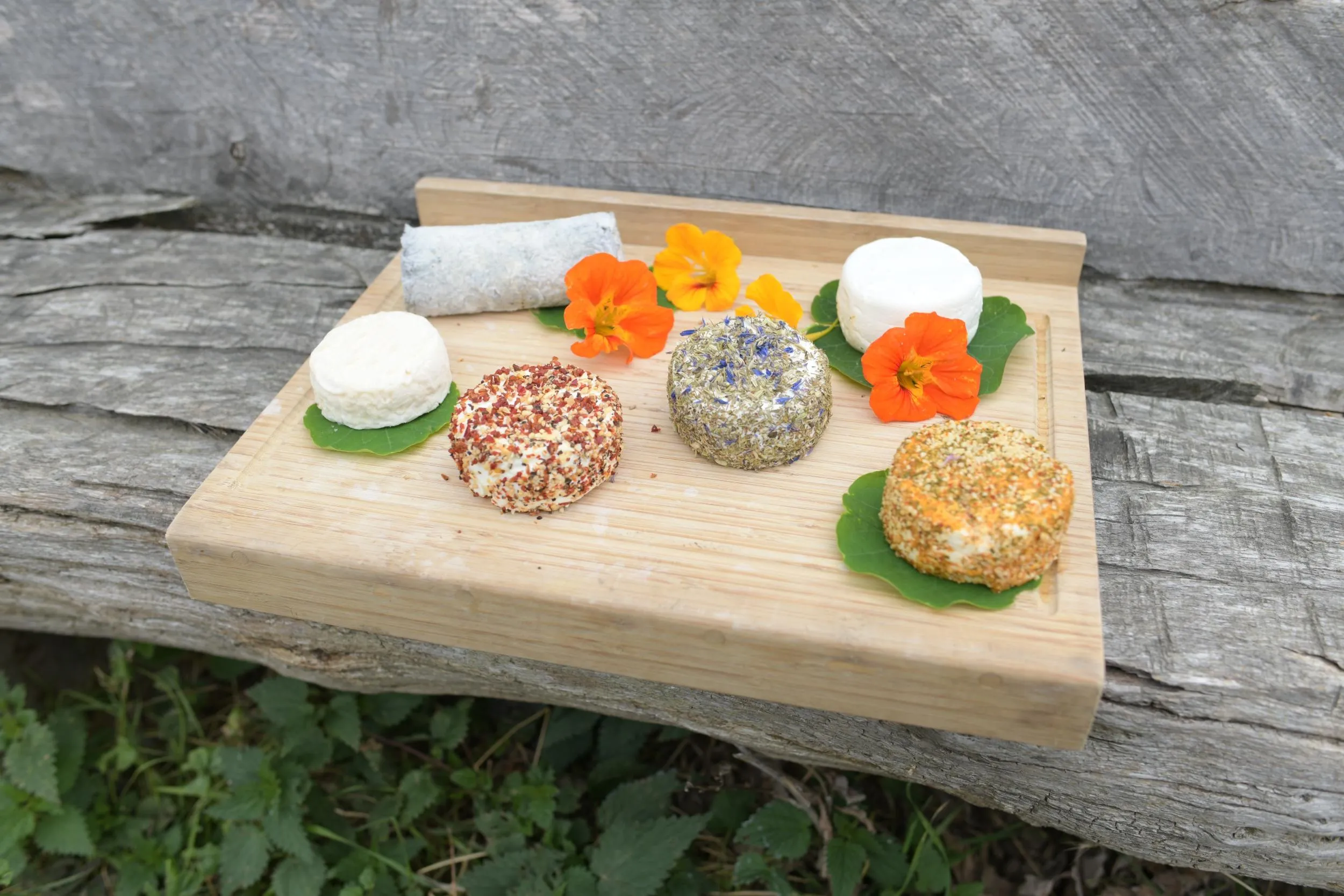 Les Fromages de chèvre - Bio