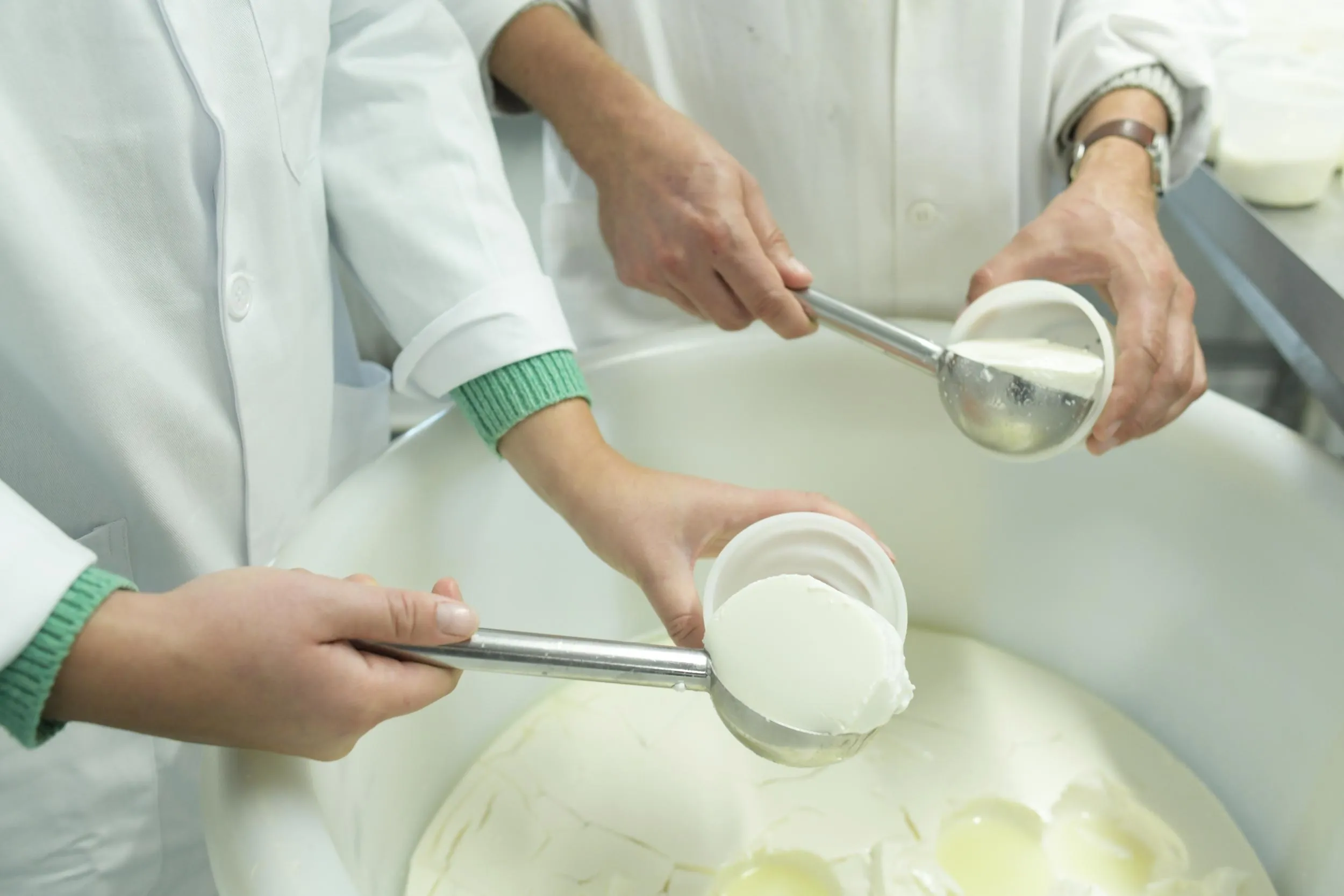 Expérience immersive adulte : Fabriquer son fromage de chèvre