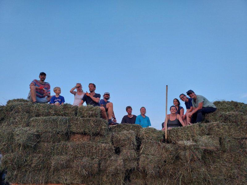 Stage et wwoofing à la ferme de La Chèvre Rit