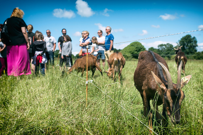 Visites de groupe d'adultes