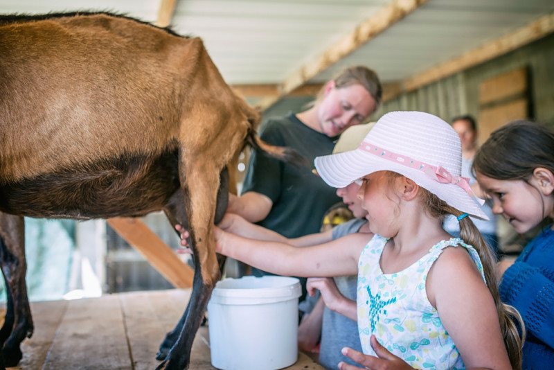 Visite pédagogique pour les groupes