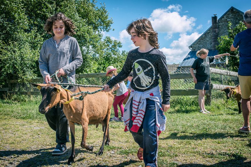 Agenda des activités
